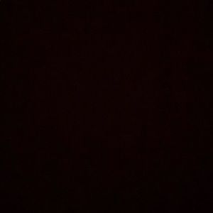 Meet your Posher, Sophia